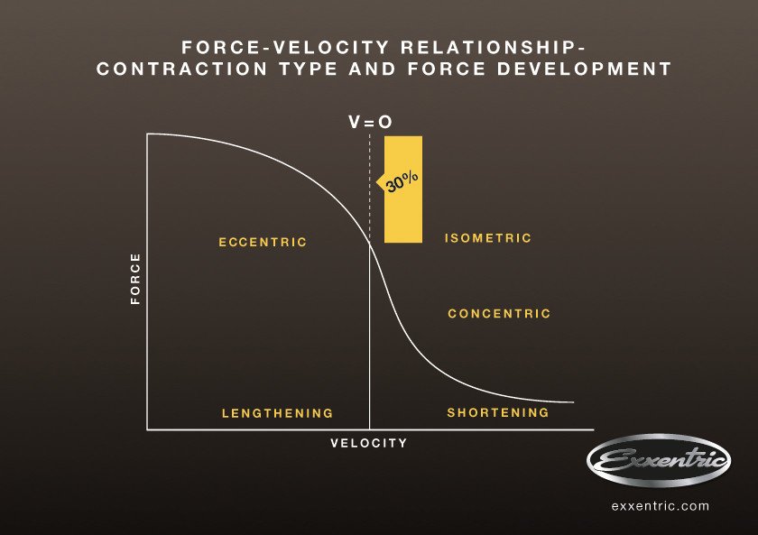 go_exxentric's tweet image. #EccentricOverload – one of the most important advantages of #flywheeltraining. Learn more: exxentric.com/eccentric-over…