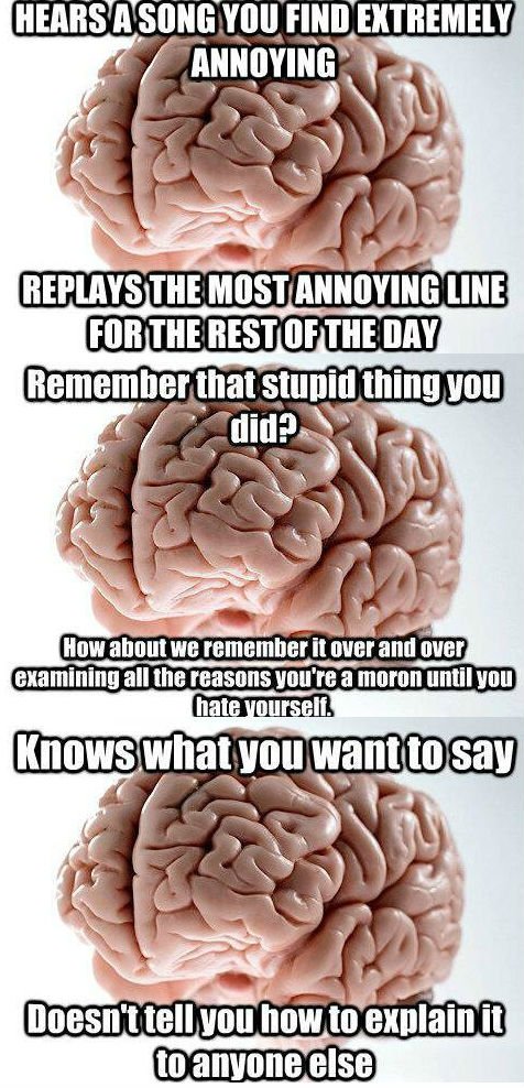 AbbyKrizner's tweet photo. Pretty much my night in memes. #FUBrain #sotired https://t.co/DLluuLNkgE