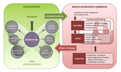 CATMEDplatform tweet picture