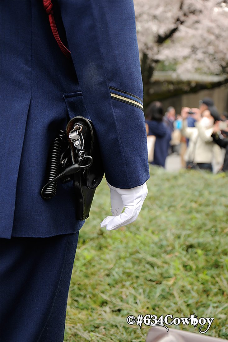 警視正 警視正