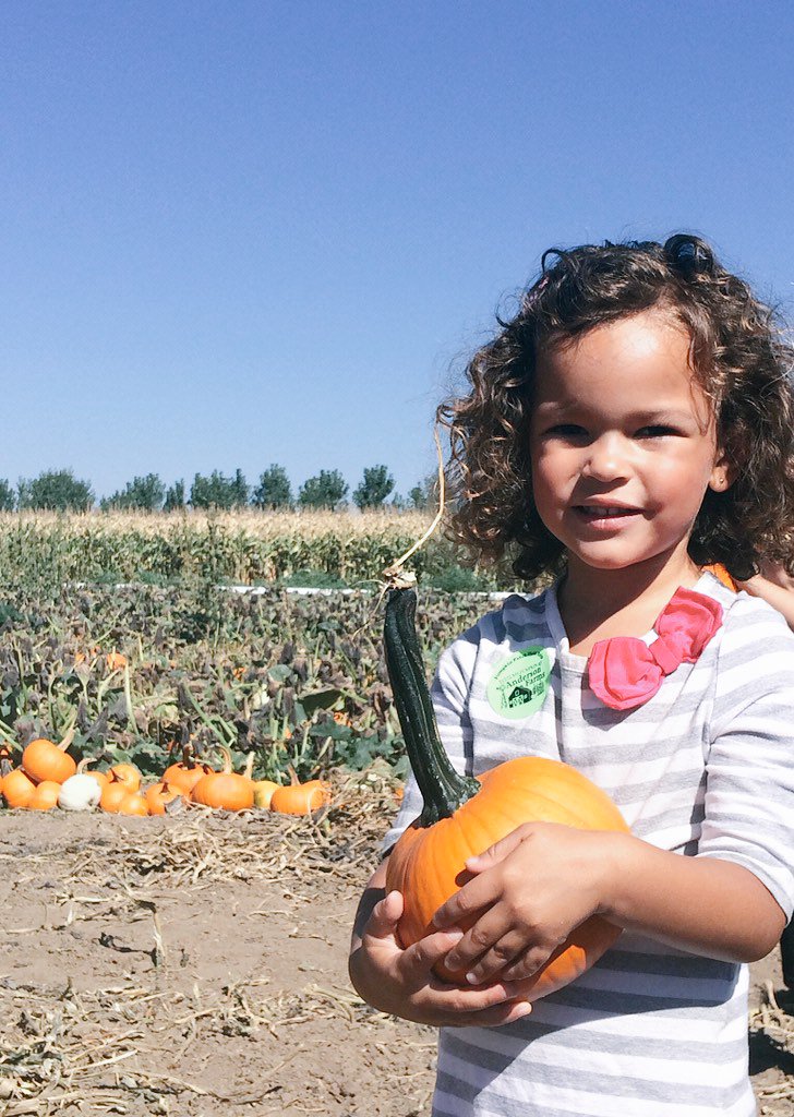 TaRhondaThomas's tweet photo. My baby found her perfect pumpkin at @AndersonFarms Great pumpkin patch! What's your fave? #BeOn9 #9newsmornings https://t.co/YSXK58kG9f