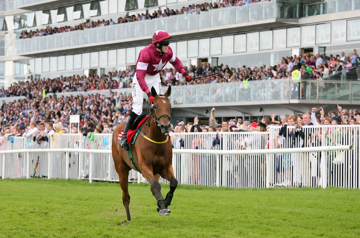 Galway_Races tweet picture