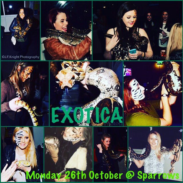 UoG_Netball's tweet photo. TONIGHT FROM 9PM! 🕸🐍🕷 https://t.co/ix9RhkfydX