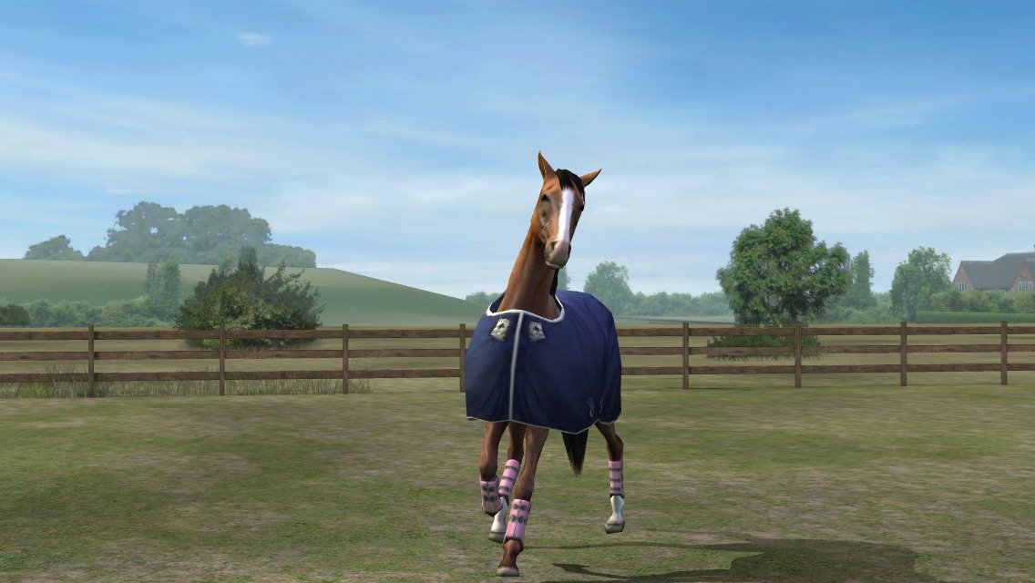 RHAMINI's tweet photo. Check out my photo! Add me, Ohmyrhamina. #MyHorse  https://t.co/GW6HVWGVDA https://t.co/5EKMngU0fB