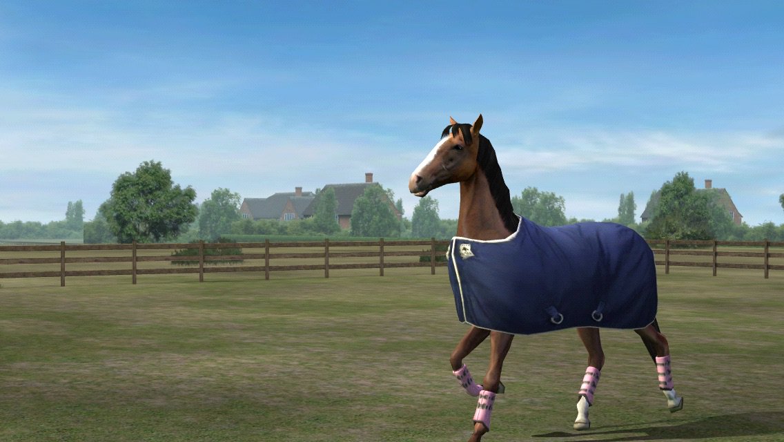 RHAMINI's tweet photo. Check out my photo! Add me, Ohmyrhamina. #MyHorse  https://t.co/GW6HVWGVDA https://t.co/p4K4hkmYvy