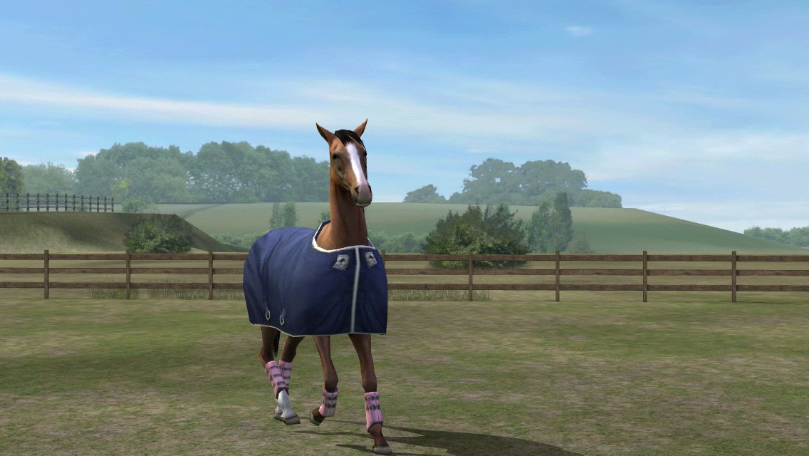 RHAMINI's tweet photo. Check out my photo! Add me, Ohmyrhamina. #MyHorse  https://t.co/GW6HVWGVDA https://t.co/uKcsb9kQoe