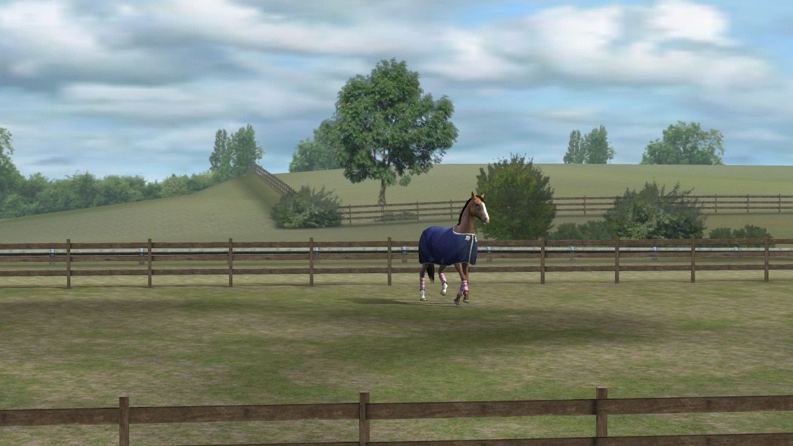 RHAMINI's tweet photo. Check out my photo! Add me, Ohmyrhamina. #MyHorse  https://t.co/GW6HVWGVDA https://t.co/J8qe3hf2H8