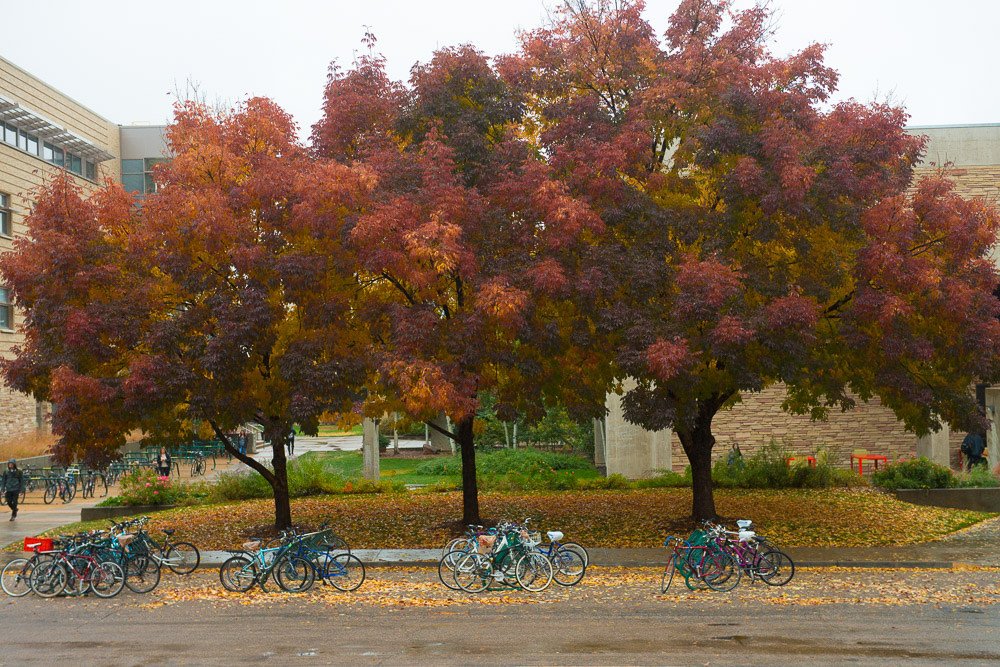 ColoradoStateU's tweet photo. Good morning! #ColoradoState https://t.co/aSWzbkmhPr