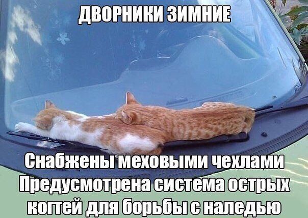 Компания СОЮЗ (@soyuzcargo) on Twitter photo 