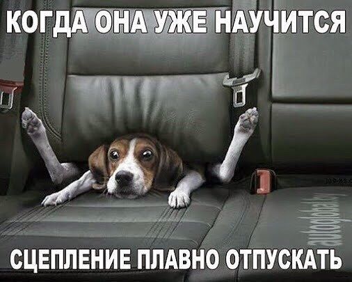 Компания СОЮЗ (@soyuzcargo) on Twitter photo 