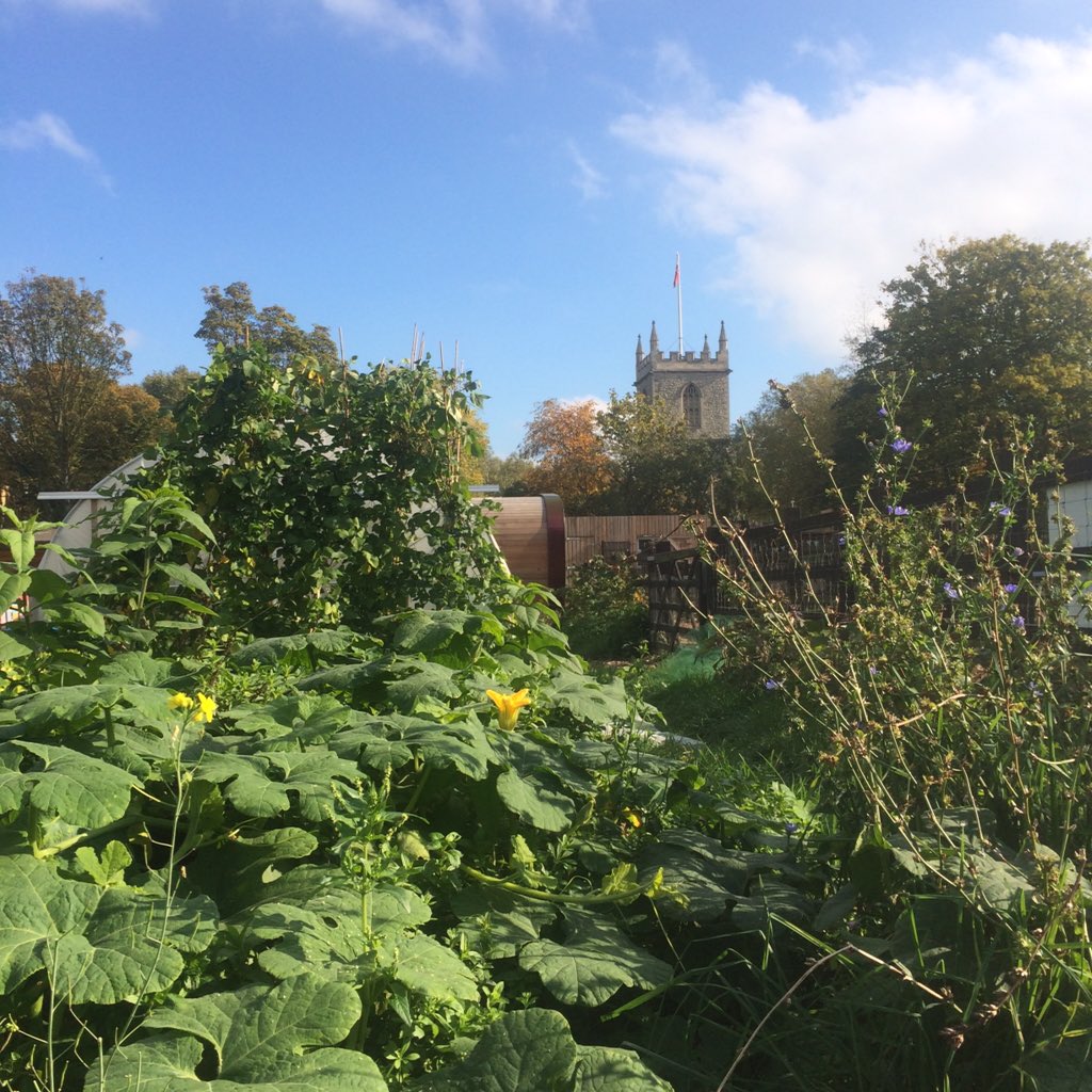 WeAreFurryTales's tweet photo. @StepneyCityFarm looking glorious today, wouldn't know you're in #London.Can't wait to start #gardening at #FTClub ๐ฑ https://t.co/XFPo52rdx6