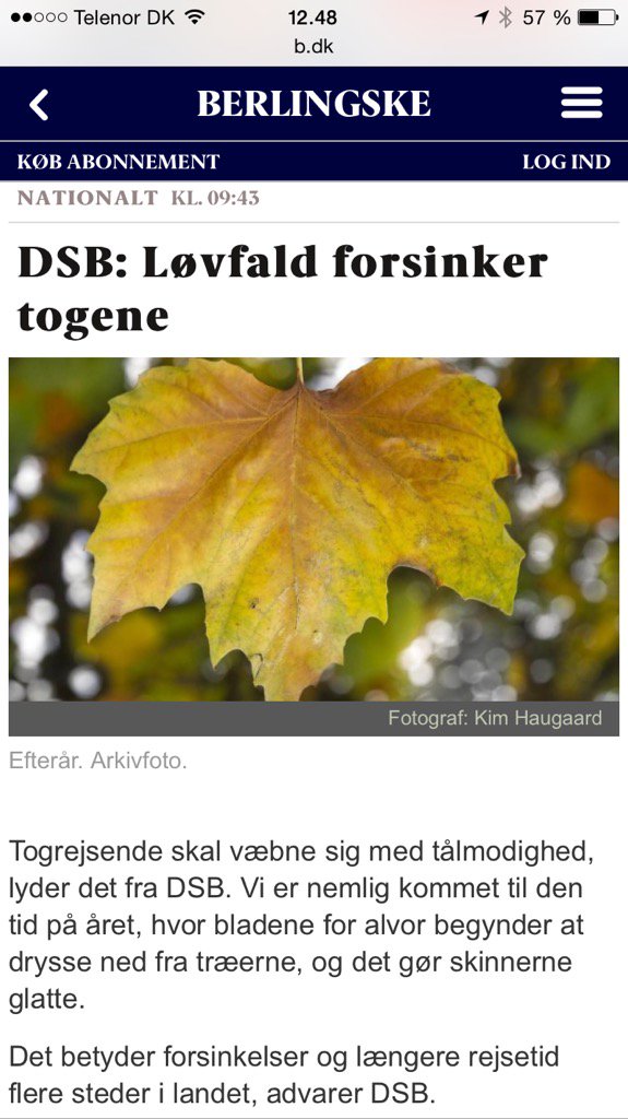 Hvam's tweet photo. Løvfald forsinker togene. Det havde ingen set komme. @dsb husk at sne også er en faktor. @omDSB #dsbudefra https://t.co/8wZC19GBZo