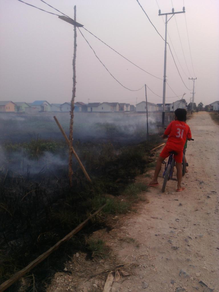fadli_pasto's tweet photo. Kalimantan-nya. Apakah juga indonesia-nya? #saveasap https://t.co/aGleQzYWp5