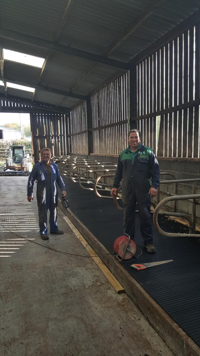 Llandre's tweet photo. Incoming dairy heifers comfort enhanced. #nicebed https://t.co/ibwILOxWDW