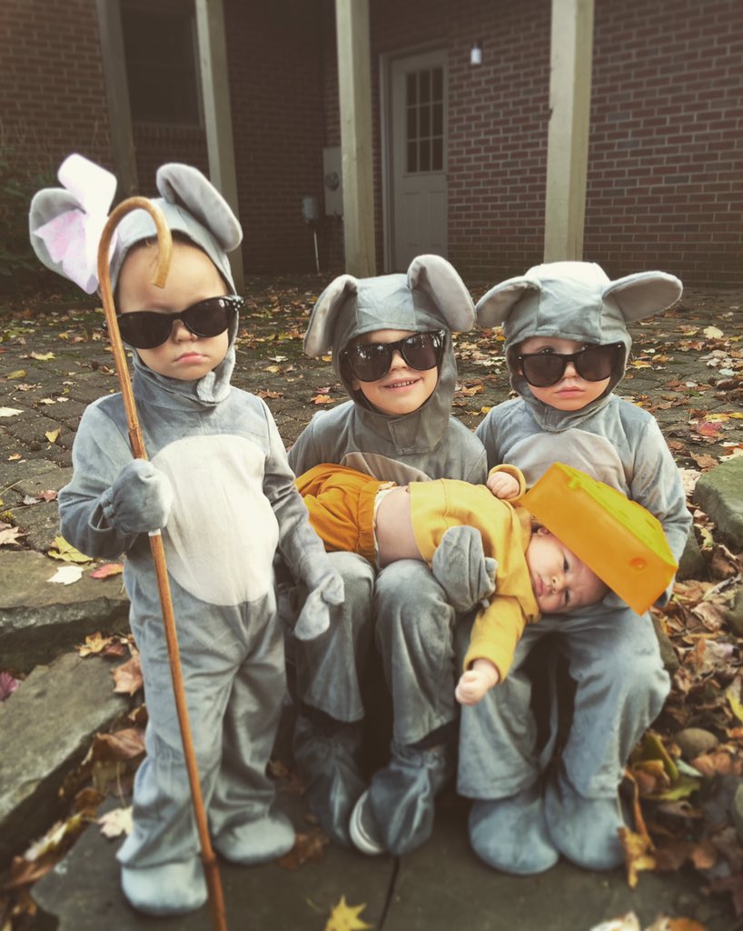 jmdassell's tweet photo. the three blind mice and their cheese. clearly thrilled. @GMA @HuffingtonPost @TODAYshow @TheEllenShow https://t.co/tQbVhaTl2R