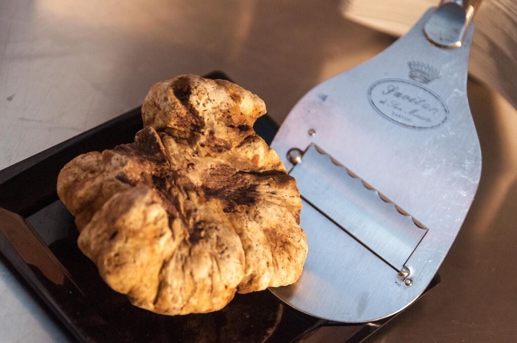 ExpoTuscany's tweet photo. Domani al #FuoriExpo della Regione #Toscana protagonista indiscusso: il #tartufo bianco! 
Ecco il motivo per venire! https://t.co/Wi3qp6mBnN