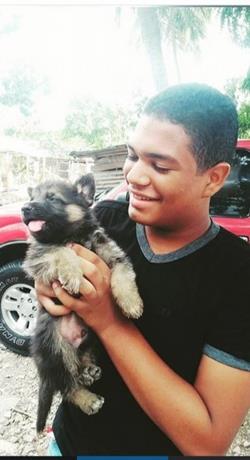 ListinDiario's tweet image. #Dengue arrebata sueños de joven con futuro prometedor. listindiario.com/la-republica/2… #ListínDiario