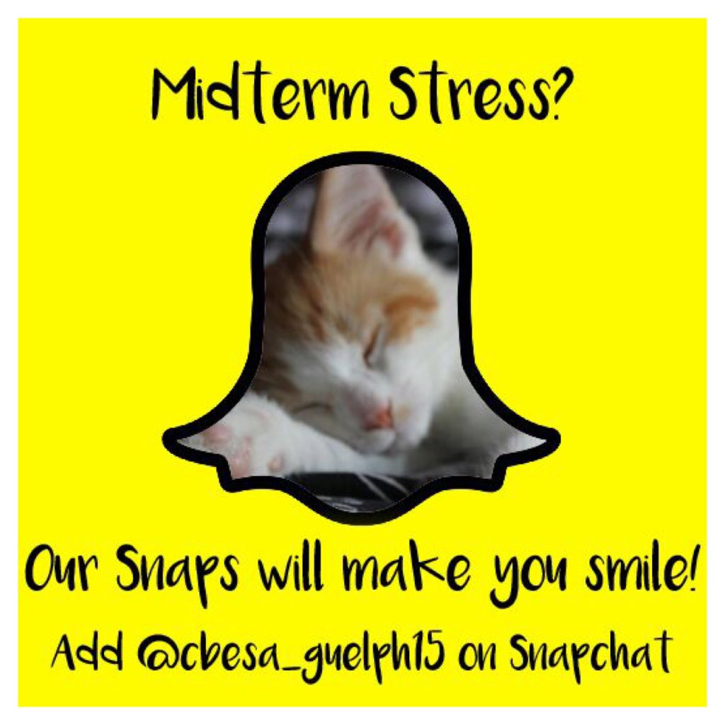 cbesa_guelph's tweet photo. Stressed? 😰 We got you covered! Check out our snapchat this week for your daily dose of cuteness!!! 🐱 https://t.co/Lj2xZEwqy1