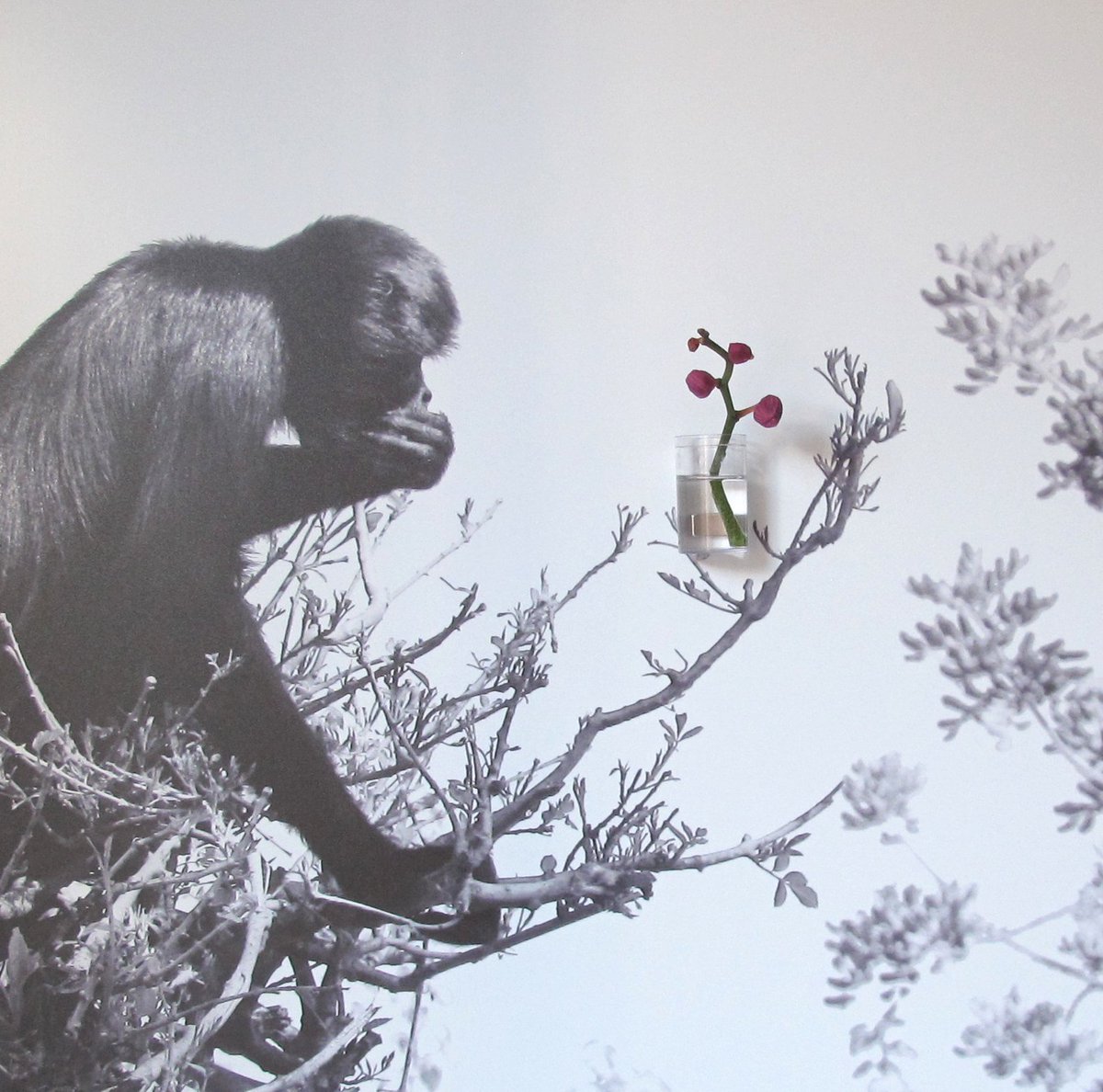 Honevo's tweet image. BIONIC PHOTO - THE PHILOSOPHER #BIONICPHOTO #BIONICART #BIONIC #COP21