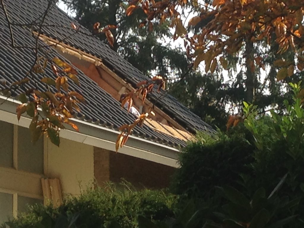 Raab Karcher tweet media