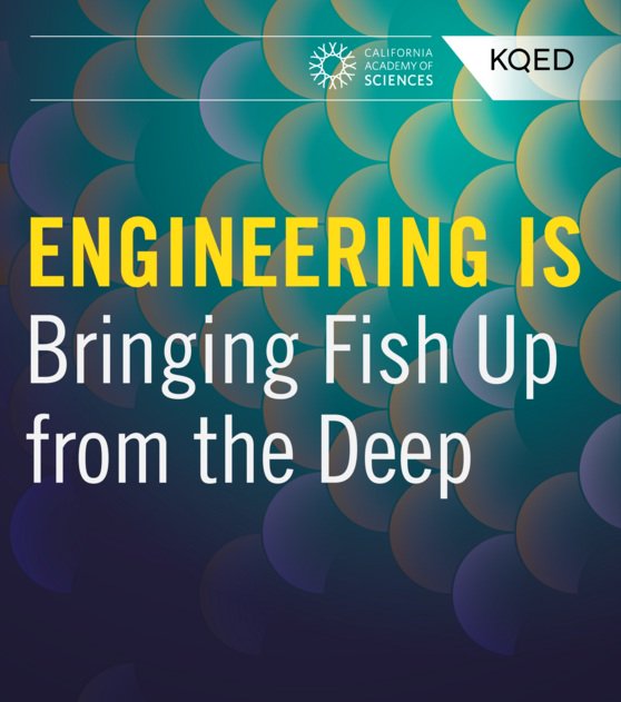 valenciascience's tweet photo. great #NGSS #ebooks about #engineering #environment &amp; #ecosystems https://t.co/uzV81LHJaU  @KQEDscience @calacademy https://t.co/D54w8BV858