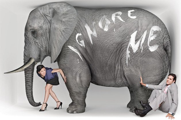 runthetrack_au's tweet photo. The elephant in the room. https://t.co/SCKhcLHO6q https://t.co/fCgd9tVV4Q