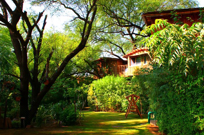 Official_CYJ's tweet photo. @MyDelhiTourCom #treehouseresort #jaipur #weekend #holidays #packages Book Now-8130781111 https://t.co/GlDTfnfSeu
