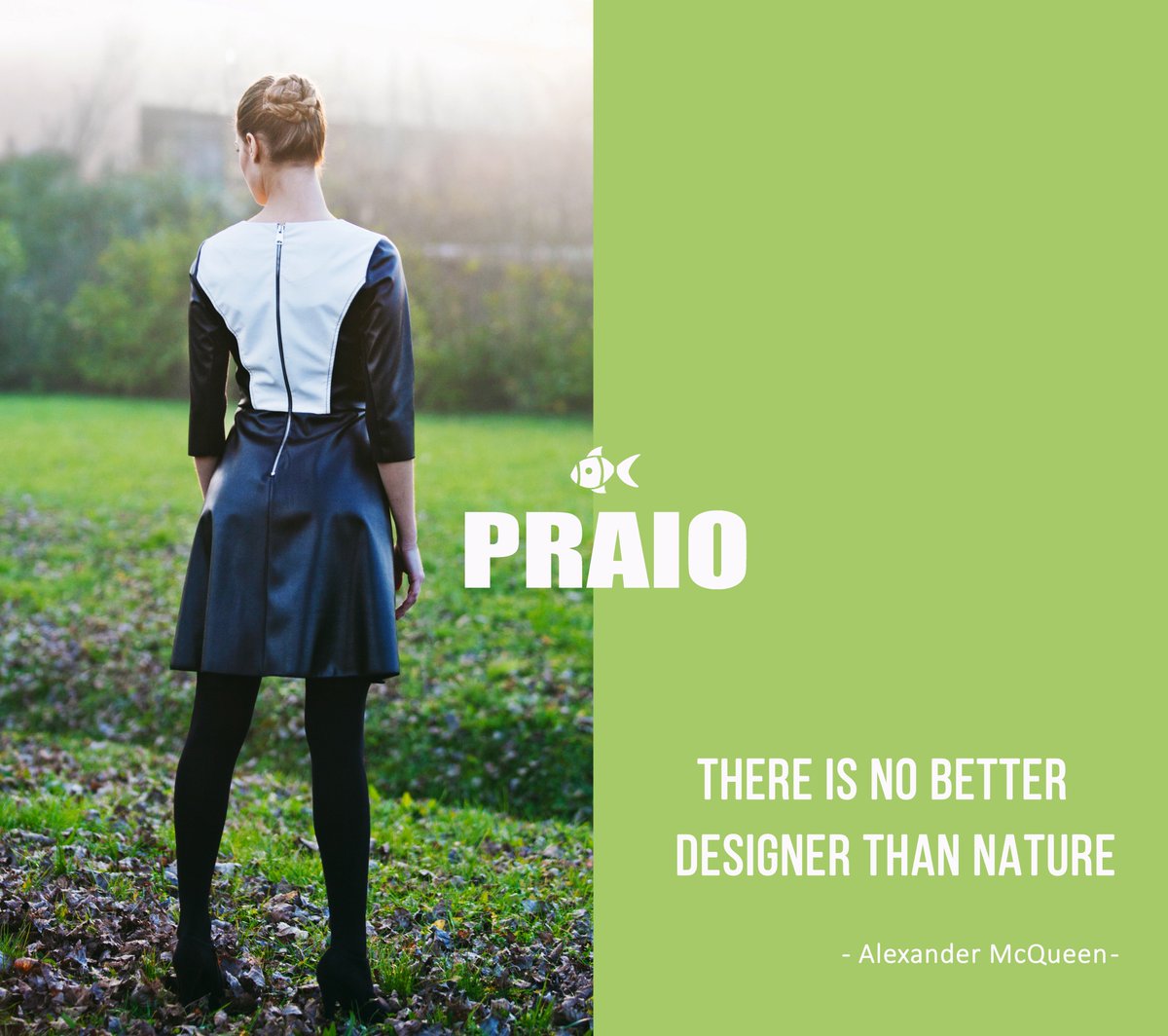 Praio_official tweet picture