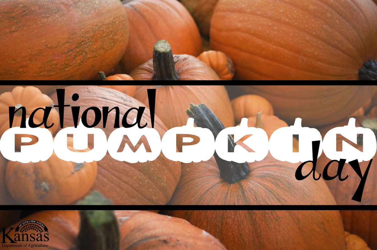 KansasDeptofAg's tweet photo. Today is #NationalPumpkinDay! Kansas is home to nearly 100 pumpkin farms! Have you visited a pumpkin patch yet? https://t.co/TTjKPfR8Ku