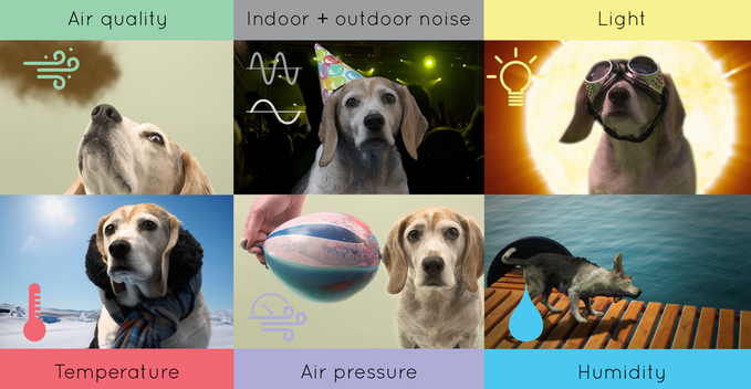 beaglesense's tweet photo. Each Beagle has a specific sensing task, so you can customize what and where to monitor: https://t.co/vmwESzPVFl https://t.co/uQfPHDPwBr