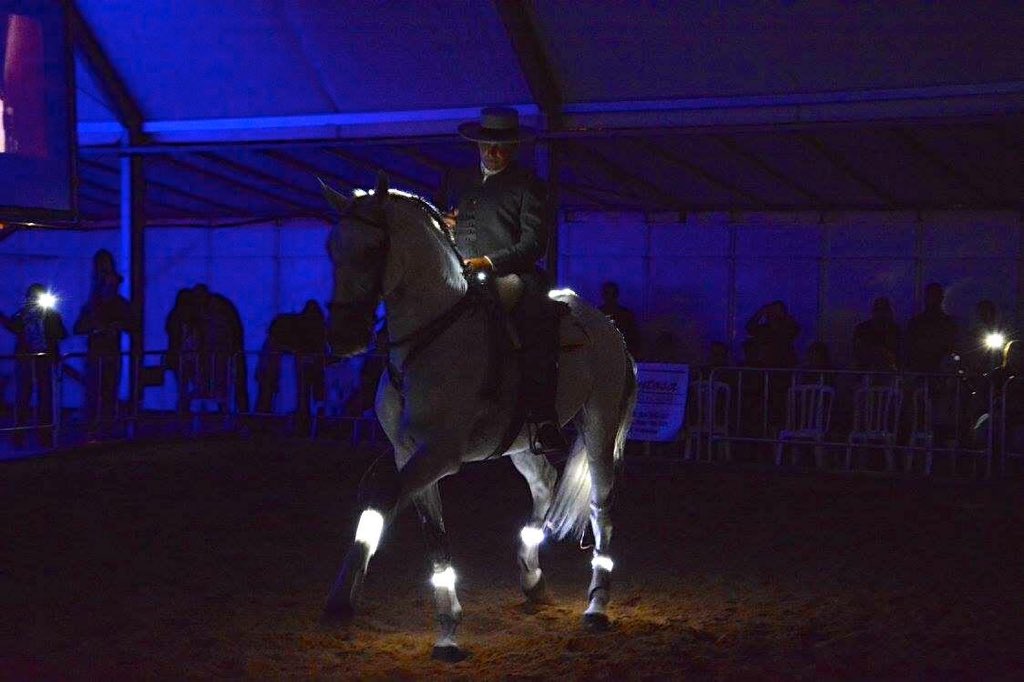 quediosreparta's tweet photo. Espectáculo ecuestre "Galopando por los Sueños" del maestro #JoséLeón en #VelezMalaga 
https://t.co/1GOaqEszaL https://t.co/U8jra0WRgk