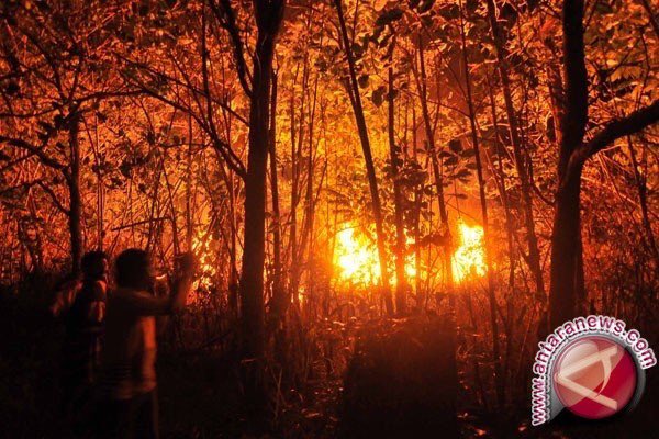 Puncak Gunung Rakutak Bandung terbakar bit.ly/1PMFmig #infoBDG