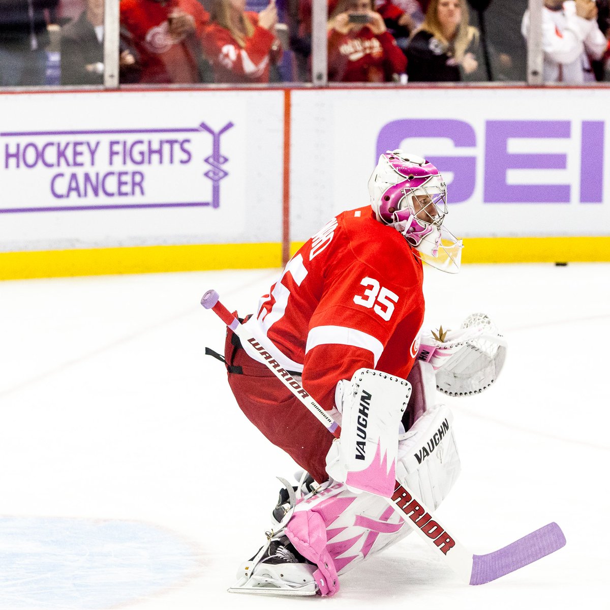 detroit red wings hockey fights cancer jersey