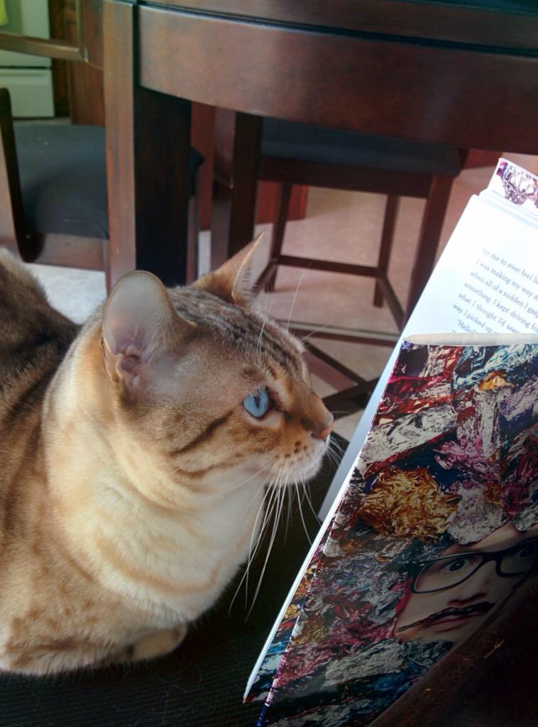 KayleighStoney's tweet photo. so into it that she clawed me when I took it away. @tyleroakley #PetsReadingBinge #BingeToNumber1 #OurBingeSelfies https://t.co/3GZUy5pLOh