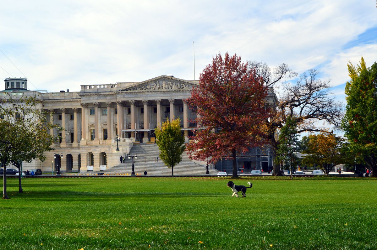 SenateSAA's tweet photo. A little taste of Fall around the #Capitol. https://t.co/lCPqfGPifj