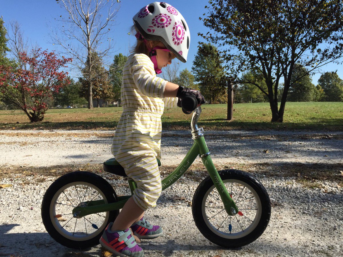 the big little bike shop