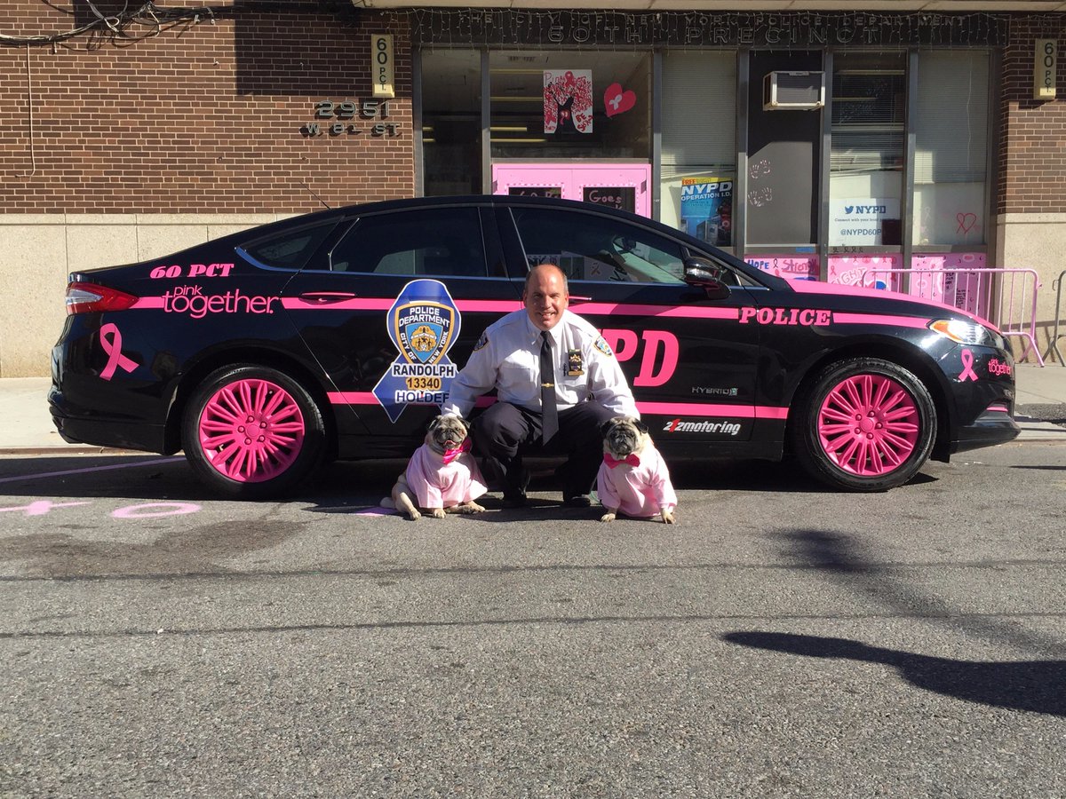 NYPD60Pct's tweet photo. Brought the boys to work today to see my new car #NYPDBlueGoesPink #BertandErniegopink #pinkestprecinct https://t.co/2rhllV73gX
