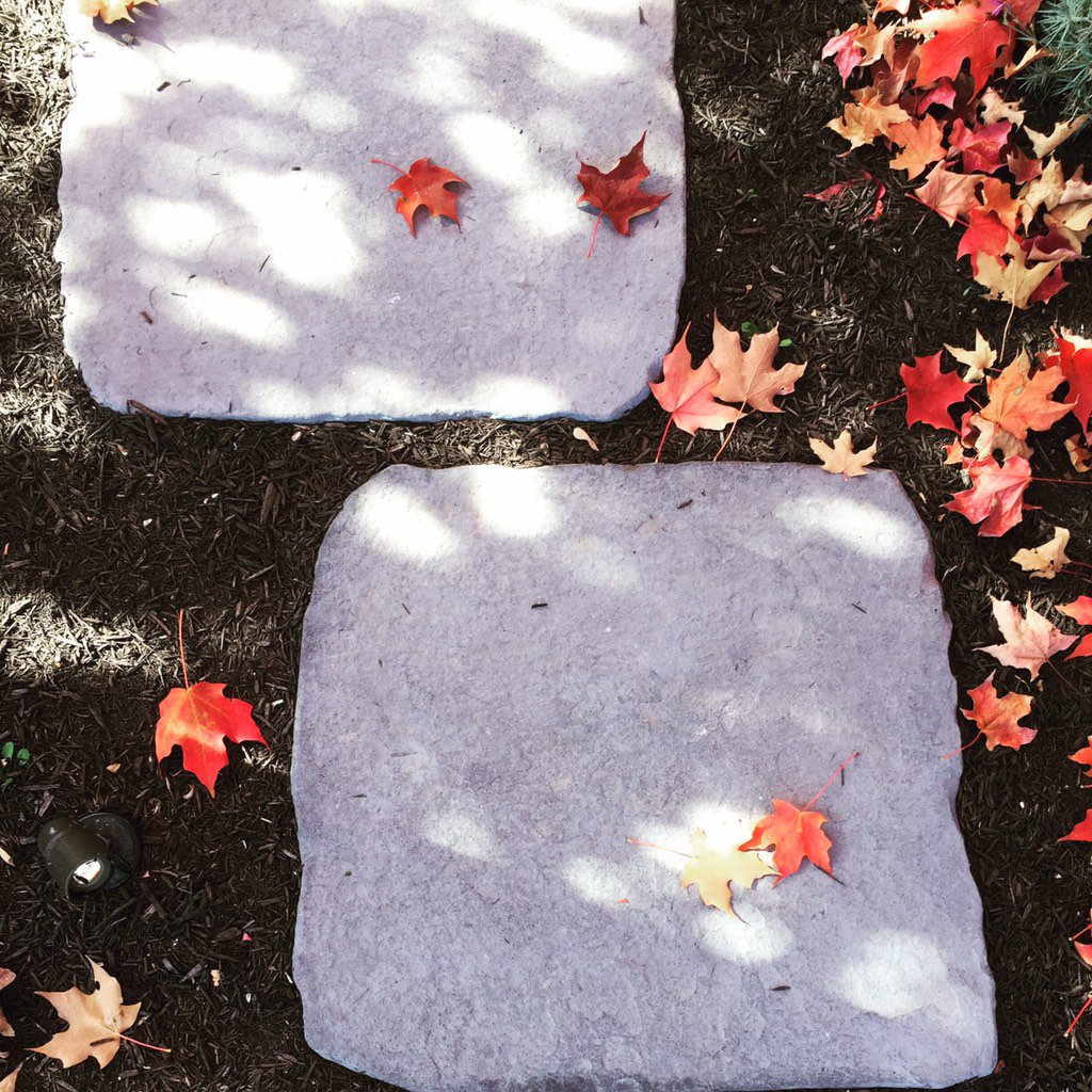 NCPprecast's tweet photo. Happy Fall! Enjoy the weather and the beautiful colors! https://t.co/uWDhN8sW24