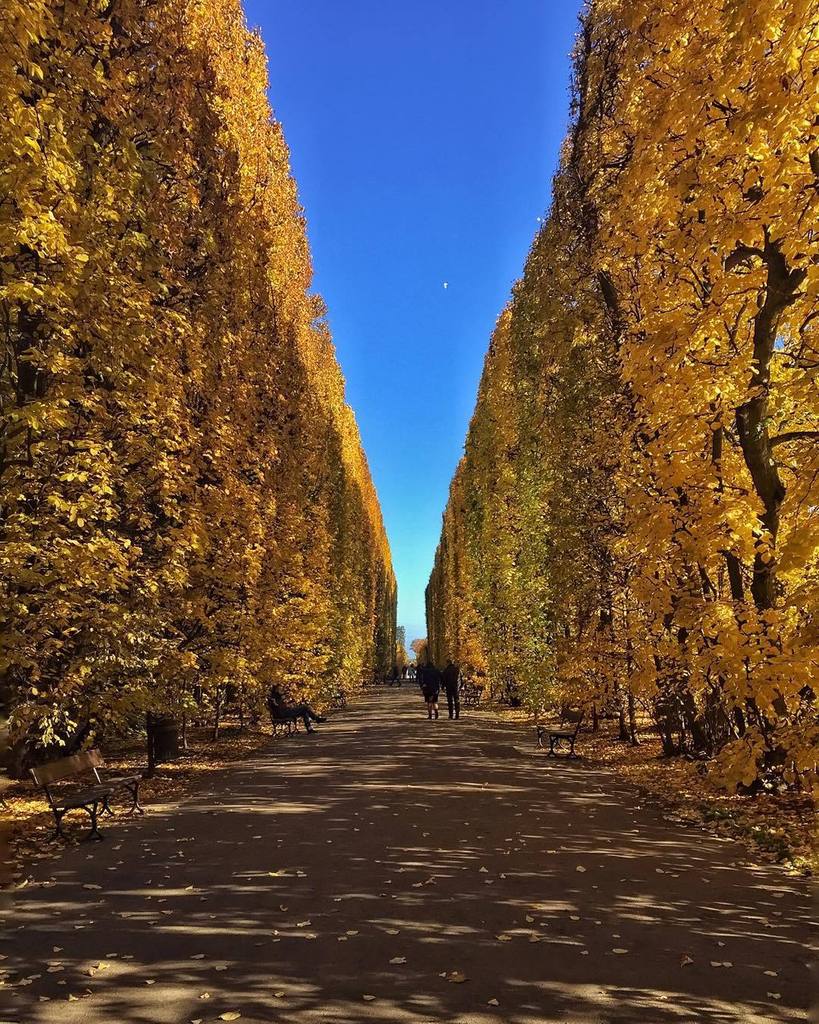 djmon1que's tweet photo. #autumn #autumndays #arte_of_nature #mobiography #MobilnyTydzien52 #mobile_perfection #nat… https://t.co/sgesX37gcS https://t.co/LW9B8R03qd