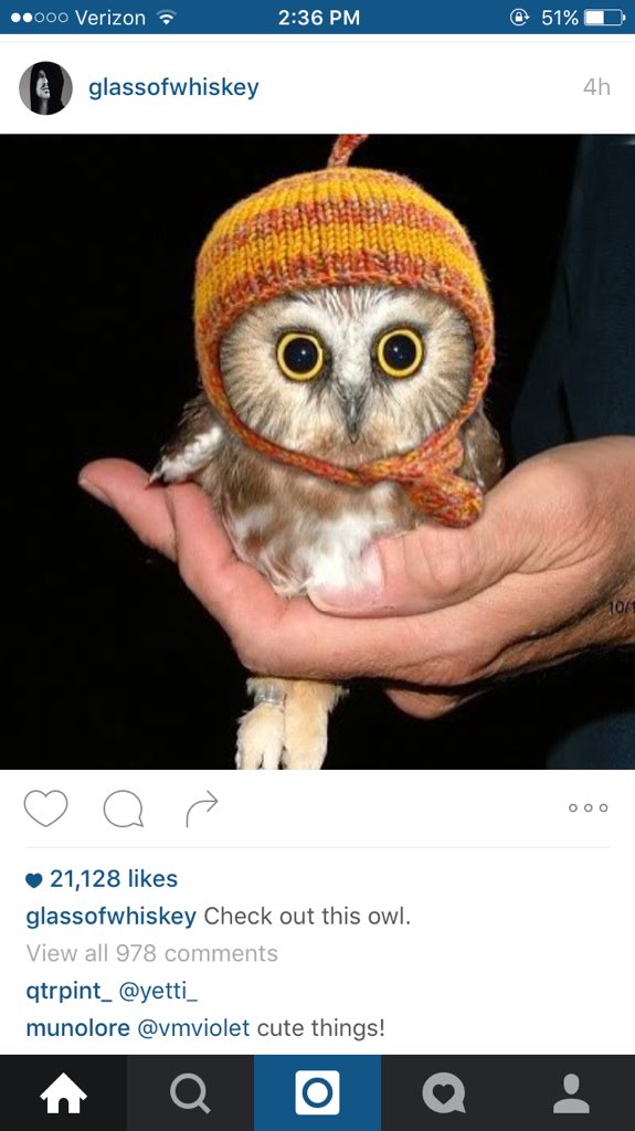 ogpoetry's tweet photo. It looks like @aaronpaul_8 is an OP fan!! #OPRules https://t.co/i9RBMD8t7Q