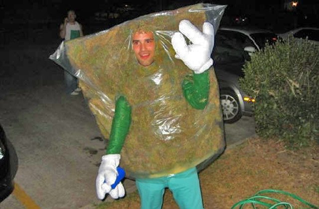 diffusedglass's tweet photo. Happy Monday #Halloween round da Corner! Whatcha Gonna BE? 
I'm gonna be a HUGE BAG of #WEED https://t.co/IMu7EJ7tVF https://t.co/Yng0dkl7GR