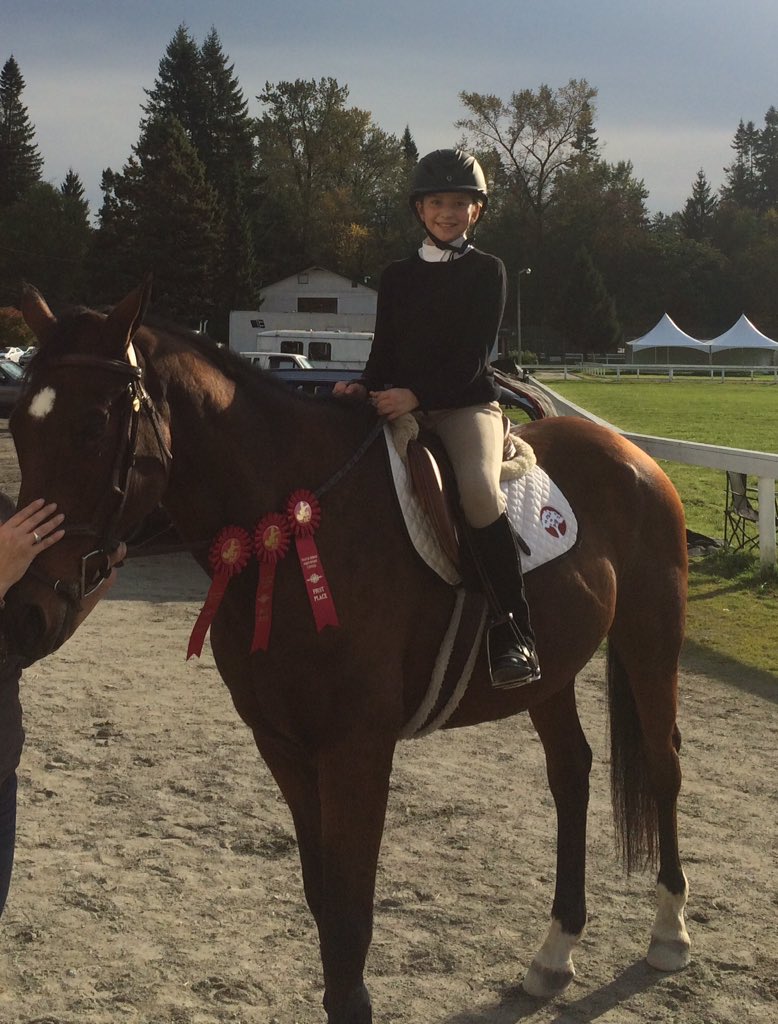 JenniferHainesC's tweet photo. First place hat trick this weekend #maplemeadows #lovethishorse #onlythebeginning https://t.co/61ggs88dGL
