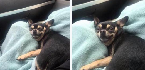 winsomeloseall's tweet photo. When you take a nap and sleep longer than you expected https://t.co/spMJheyItA
