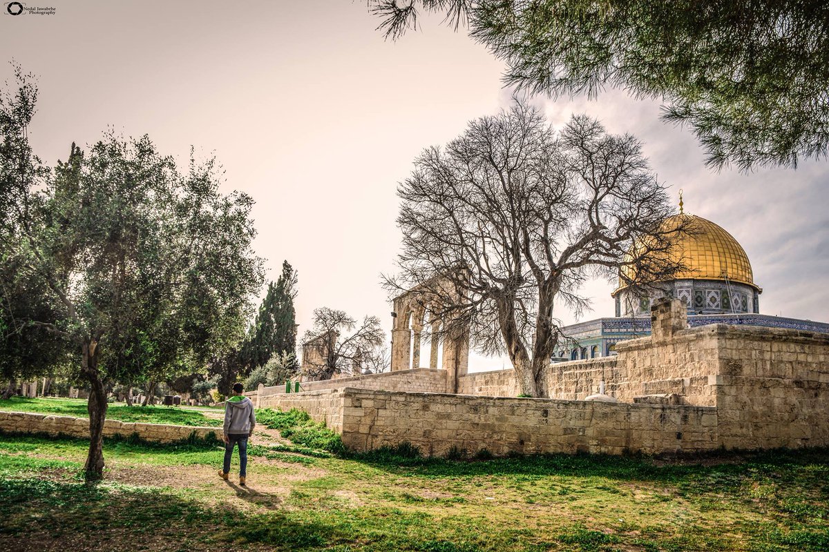 ShehabAgency's tweet photo. تصوير: نضال جوابرة
#فلسطين_تنتفض .. #انتفاضه_القدس https://t.co/Sw8lJz2Ze7