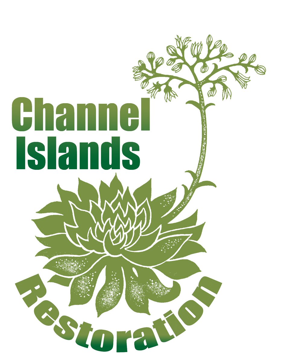 CoxCalifornia's tweet photo. RT to help Channel Islands Restoration win $5k! #CoxCares5kGiveaway More: https://t.co/4GHYDJs2Rj https://t.co/fJzA5mgLt3
