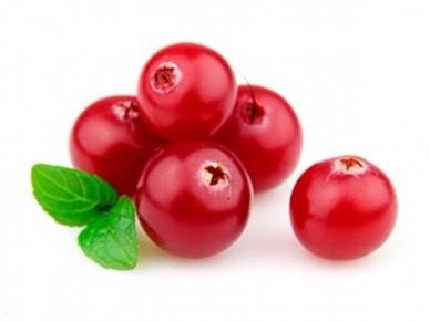 DrGobacSA's tweet photo. Bearberry is a known skin-lightening agent with strong antiseptic properties, contained in DR. GOBAC LIGHTEN. https://t.co/bWC6NCvdNV