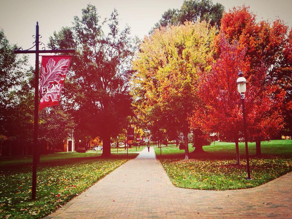 thesampress's tweet photo. When your campus trees have no chill. #ElonGram #NikonFallNC https://t.co/7csRi7BRtC https://t.co/uD7pE0pLC7