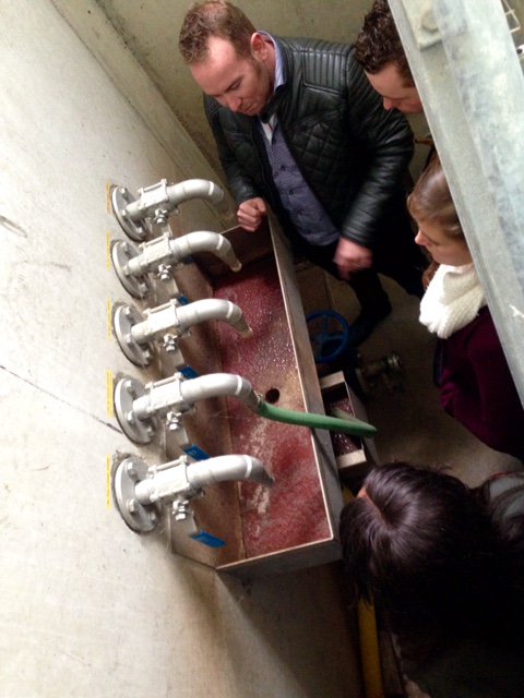 Stichting Biomassa  tweet media