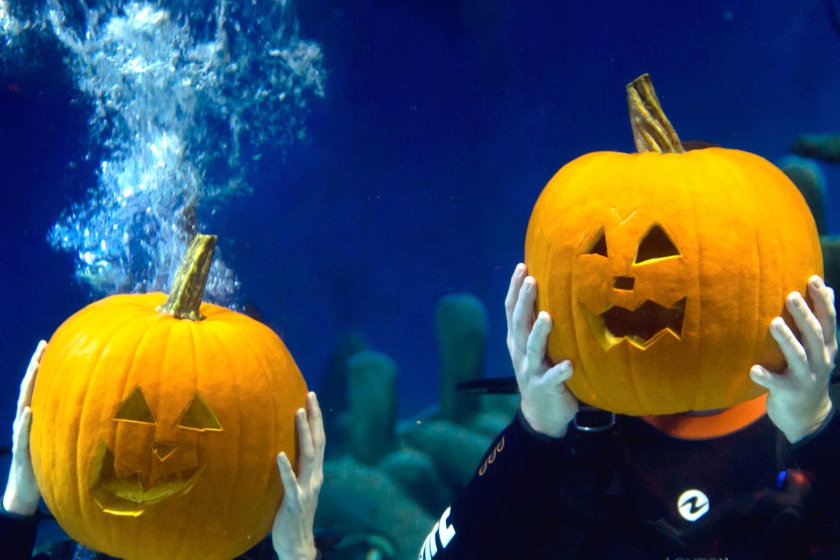 Giivers's tweet photo. Hope you can swim, Jack https://t.co/ShKRzKPKfn #giivers https://t.co/puCFNh2Ruw