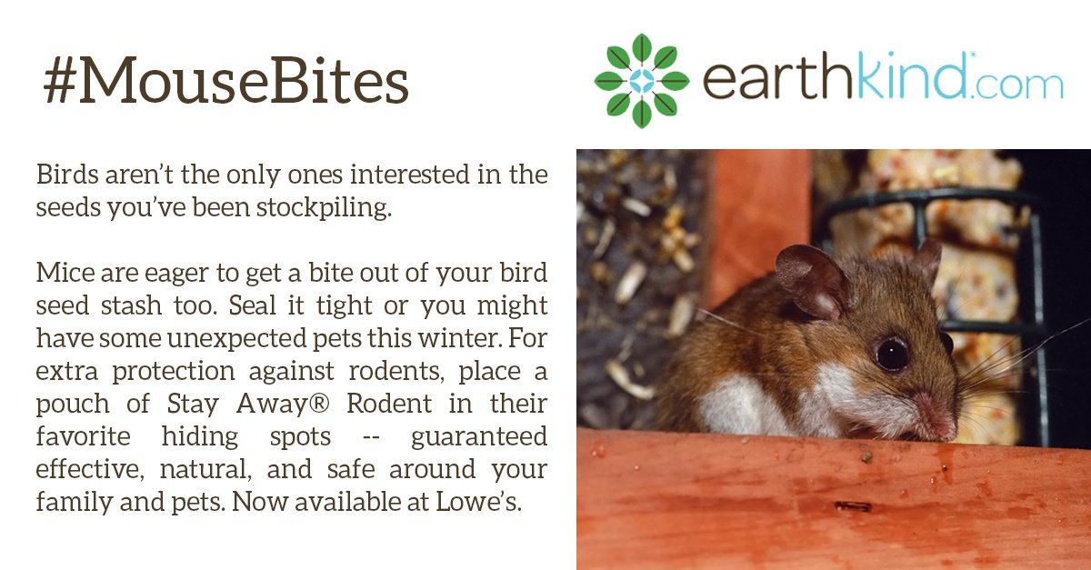 EarthKindLiving's tweet photo. Birds aren’t the only ones interested in the seeds you’ve been stockpiling. #MouseBites https://t.co/hhoPLs7HfV